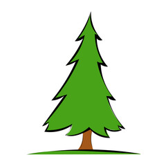 Tannenbaum