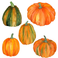 Watercolor handdrawn autumn pumpkins set. Illustration of collection of orange and green pumpkins. Harvest for Thanksgiving day. Design for season offer, cards, covers, print template.