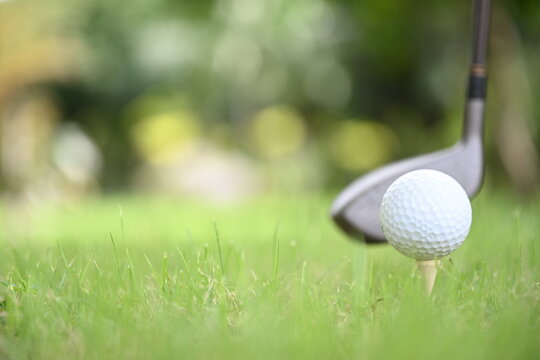 Blurred image of a white golf ball placed on a tee and golf club on a green lawn. People all over the world play golf during their health and leisure holidays.

