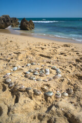 Shell spiral on the beach