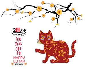 Happy lunar new year 2023, Vietnamese new year, Year of the Cat.