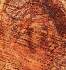 Naklejka premium Abstract pattern of longan tree core texture.