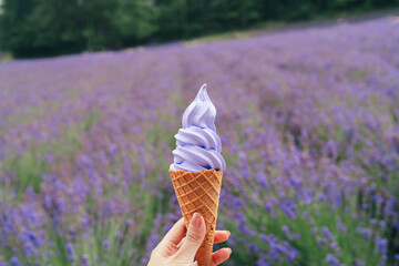 ラベンダーソフトクリームアイス
