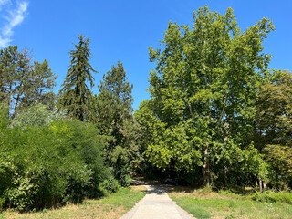 Park by the Danube river and next to the Vučedol culture museum, Vukovar - Croatia (Park uz rijeku Dunav i pored muzeja vučedolske kulture, Vukovar - Srijem, Hrvatska)