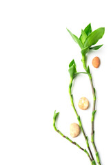 Meditation stones with green leaves on white background.  free space. Calm, buddhism symbol or aromatherapy set concept.