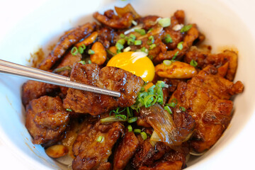 Japanese style Rice topped with Pork