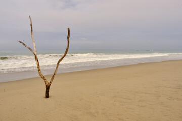 静岡県菊川の太平洋朝焼け