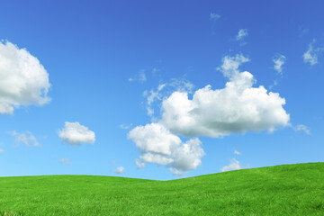 Fototapeta na wymiar Green grass field and blue sky with clouds, aesthetic nature background. Idyllic grassland, summer or spring landscape, green countryside fields, blue sky cloudy, bright environmental nature