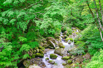 山形県大峠トンネル付近の紅葉と滝