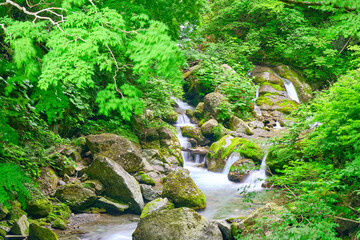 山形県大峠トンネル付近の紅葉と滝