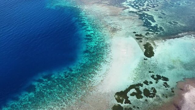 Birds eye view of coral reef on one of most biodiverse marine ecosystem habitats in the world, Coral Triangle in Timor Leste, Southeast Asia, aerial drone view of stunning diving destination