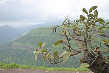 Beautiful landscape near pune, maharashtra