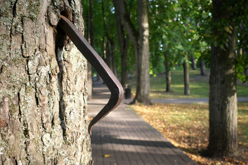 Metal bracket in a living tree. Selective focus.