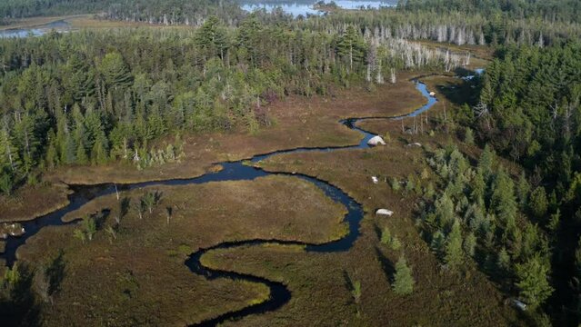 Gorgeous overhead aerial view of a stream just outside Baxter State Park, Maine