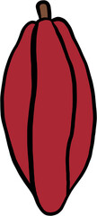 doodle freehand sketch drawing of cacao fruit.