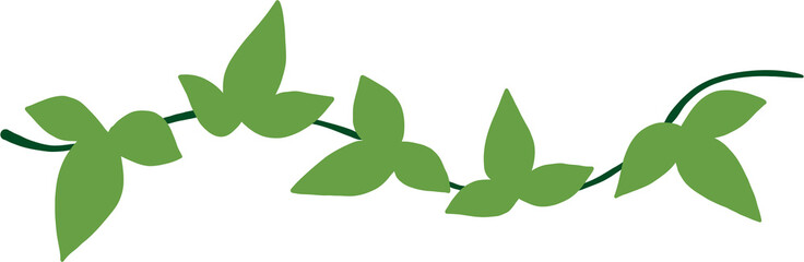 simplicity ivy freehand drawing flat design © tanarch