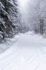 Dirt road in a winter forest