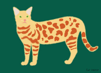 A full-body illustration of the cute brown and yellow cat character. Cute cats collection in vector style.