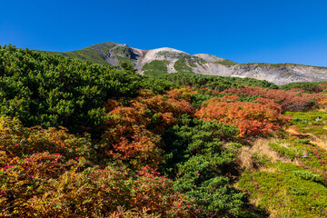 乗鞍岳位ヶ原の紅葉