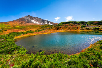 秋の北海道・大雪山の旭岳で見た、池の周りを彩る紅葉や緑の植物と快晴の青空