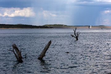 Fototapeta na wymiar Tree trunks flooded by blue lake