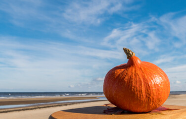 Autumnal subject image with close up of ripe pumpkin on wooden plate with blurred  background of sandy beach of Baltic Sea. Selective focus on body of pumpkin - 535994135