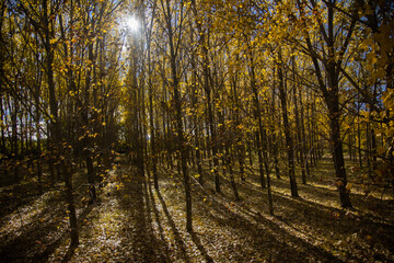 a year with an incredible autumn