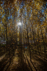 a year with an incredible autumn