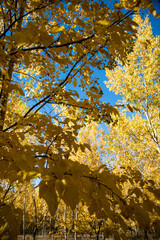 a year with an incredible autumn