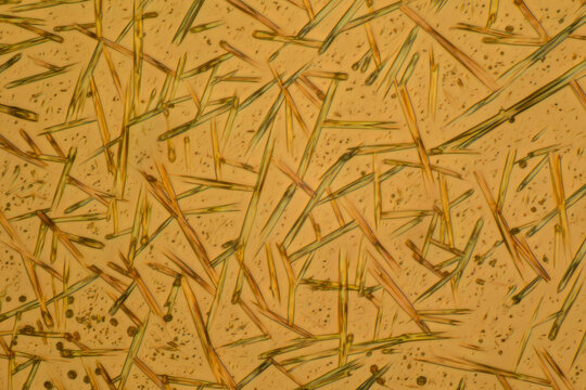Crystals of substance caffein made by microscope in polarized light