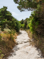 Fototapeta na wymiar The path along beautiful cliffs of Bonifacio on a sunny summer day. Southern Corse, France.