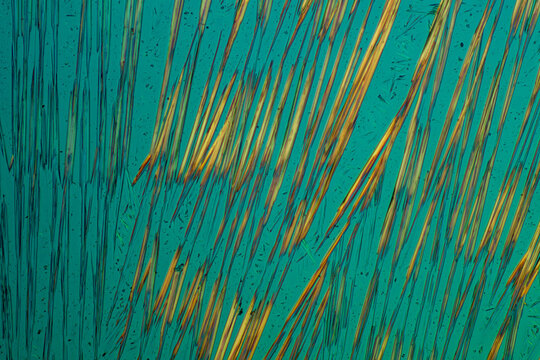 Crystals of substance caffein made by microscope in polarized light