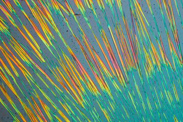 Crystals of substance caffein made by microscope in polarized light