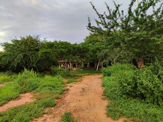 Fototapeta premium rancho