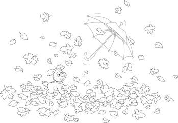 Merry little puppy playing and chasing a toy umbrella flying and swirling in the wind among falling leaves in an autumn park, black and white outline vector cartoon illustration for a coloring book