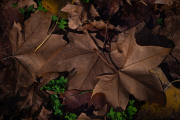 a year with an incredible autumn