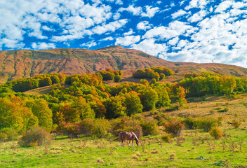 Monti della Laga (Italy) - High peaks in the mountain range Monti della Laga, Lazio and Abruzzo region, named Pizzo di Sevo and Cima Lepri, over 2400 meters, during autumn foliage.