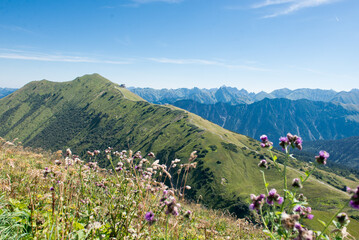 Fototapeta na wymiar Alpes, Nature, Mountains