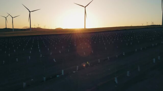 Array of Wind Turbines on Countryside Field at Sunset, Renewable Energy Concept, Drone Shot