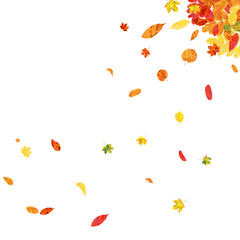 Autumn Leaves Background