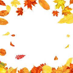 Autumn Leaves Background
