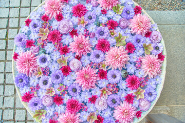 埼玉県行田市花手水