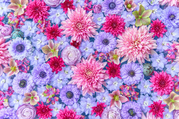 埼玉県行田市花手水