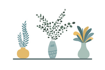 Flowers and plants in vases on the shelf. Hand drawn