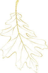 Seasonal leaf of golden luxury illustration