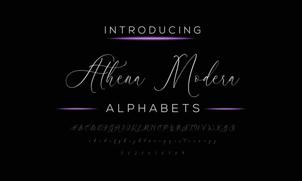  Luxury Script Font Vector Alphabet Athena Modern