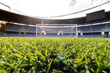 Green grass with football stadium in the background.