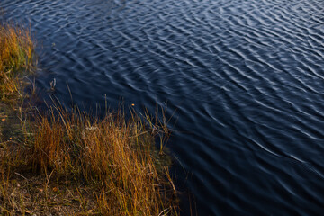 Belarusian swamp lake in Yelnya Belarus in autumn. Ecosystems environmental problems climate change.