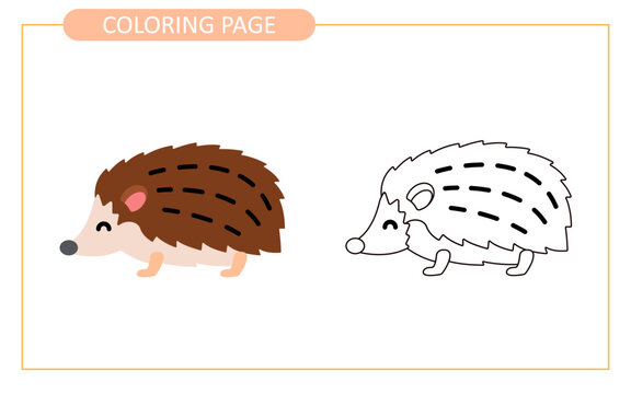 Coloring page of hedgehog. educational tracing coloring worksheet for kids. Hand drawn outline illustration.