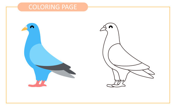 Coloring Page Of Pigeon. Educational Tracing Coloring Worksheet For Kids. Hand Drawn Outline Illustration